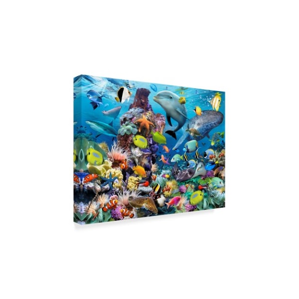 Howard Robinson 'Colorful Reef' Canvas Art,18x24